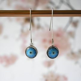 Pendant round earrings in silver stainless steel, blue daisy flower in polymer clay, handmade Joanna Calla